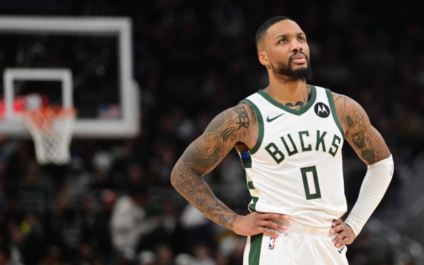 特的表现 特的表现