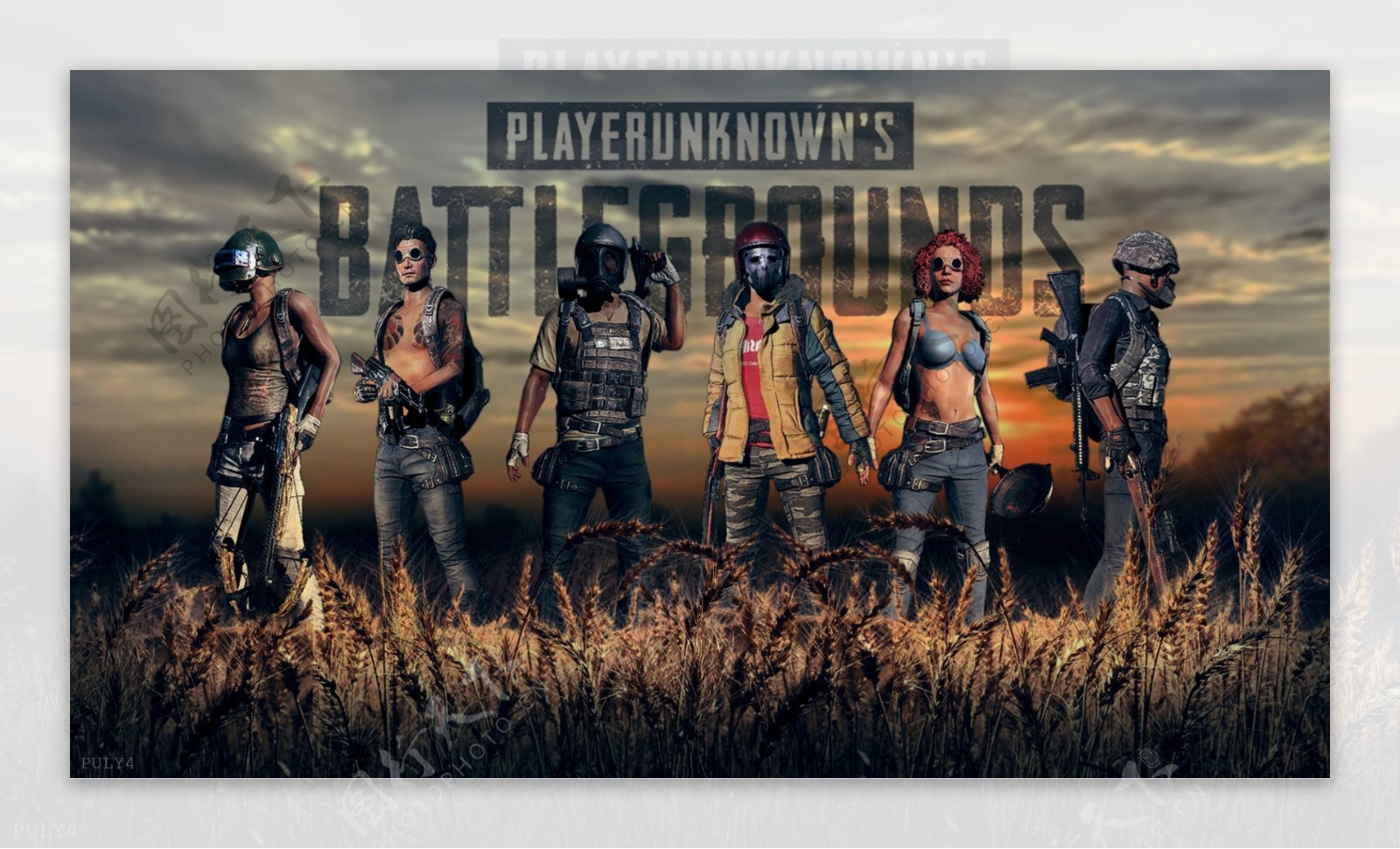 发展的决定 发展的决定