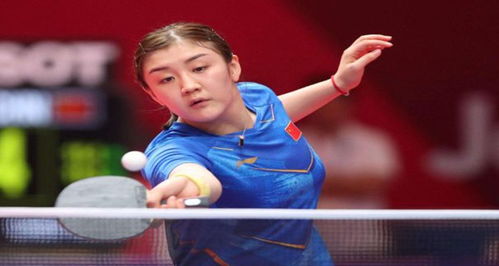 经验丰富的 经验丰富的