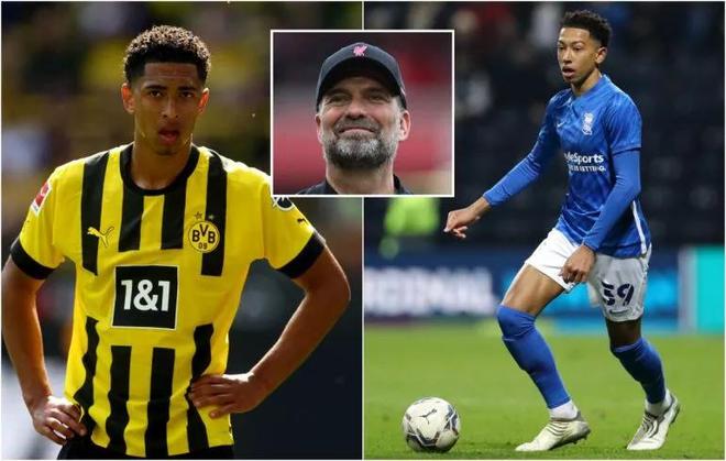 终结选择 终结选择