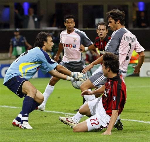 的微观组成 的微观组成