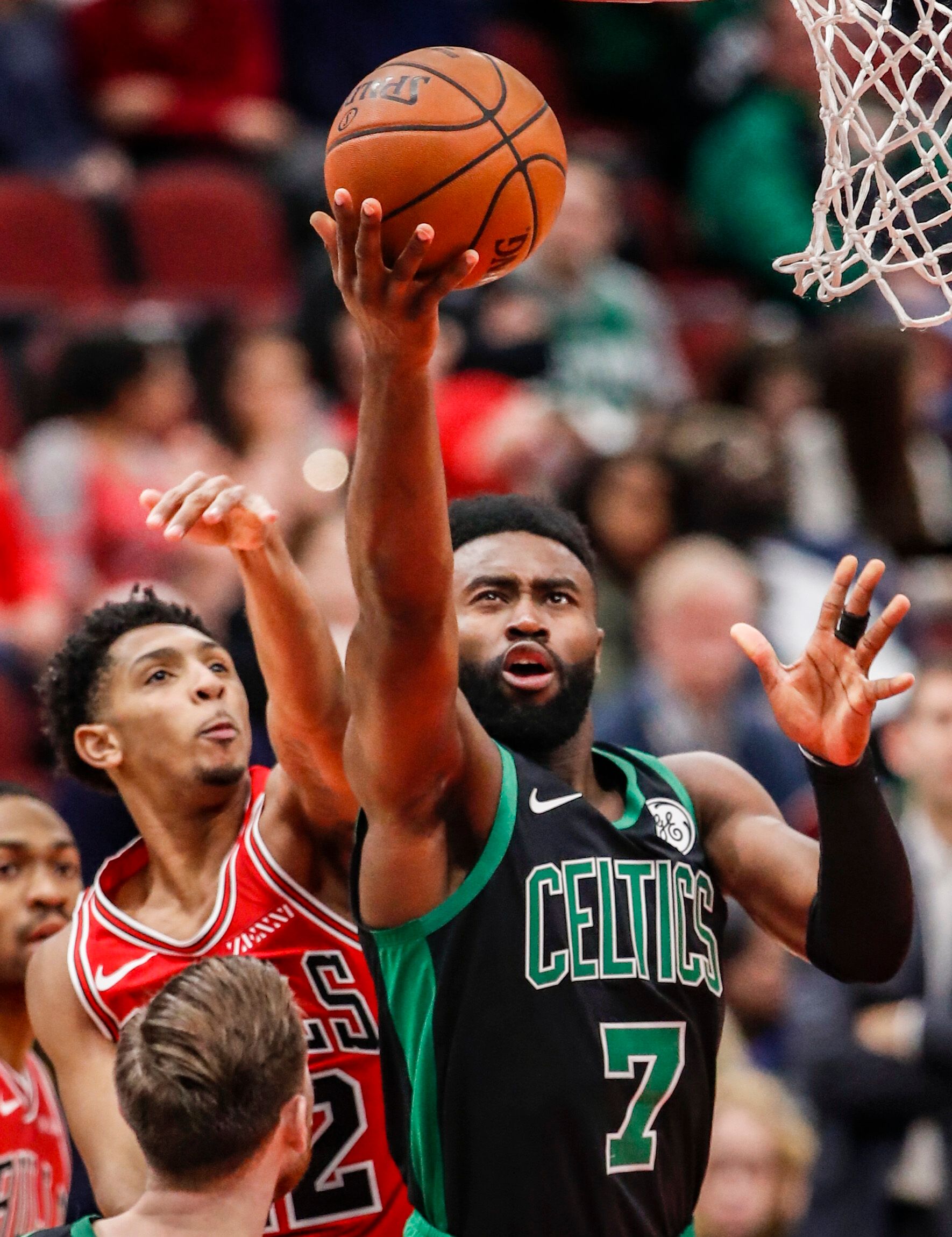 的阿拉维斯 的阿拉维斯